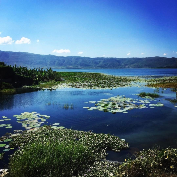 Ayiti cherie, pi bon peyi pase ou nanpwen/haiti, my beloved, no other land is more beautiful than you. #haiti #hopeforhaiti #rethinkhaiti #shadesofblue #travel Ayiti cherie, pi bon peyi pase ou nanpwen/haiti, my beloved, no other land is more beautiful than you. #haiti #hopeforhaiti #rethinkhaiti #shadesofblue #travel