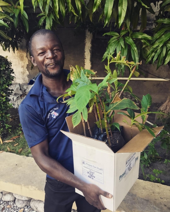 #breadfruit ready to be nurtured in our nursery! here’s to a fruitful weekend all! #haiti #hopeforhaiti #reforesthaiti #breadfruit ready to be nurtured in our nursery! here's to a fruitful weekend all! #haiti #hopeforhaiti #reforesthaiti