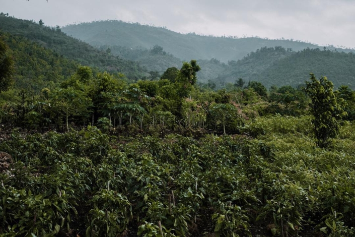 Ayiti, cherie! beautiful, haiti! #haiti #hopeforhaiti #mountainsbeyondmountains #takeahike Ayiti, cherie! beautiful, haiti! #haiti #hopeforhaiti #mountainsbeyondmountains #takeahike