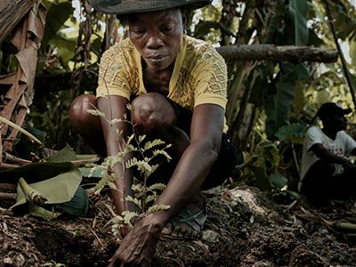 Haiti Economic Development Micro Loans
