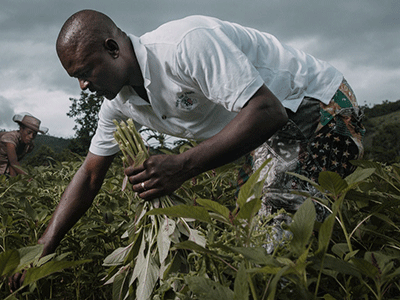 Haiti Infrastructure Projects - Land Conservation | Hope For Haiti