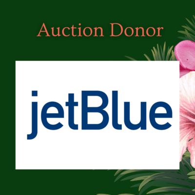 JetBlue thumbnail