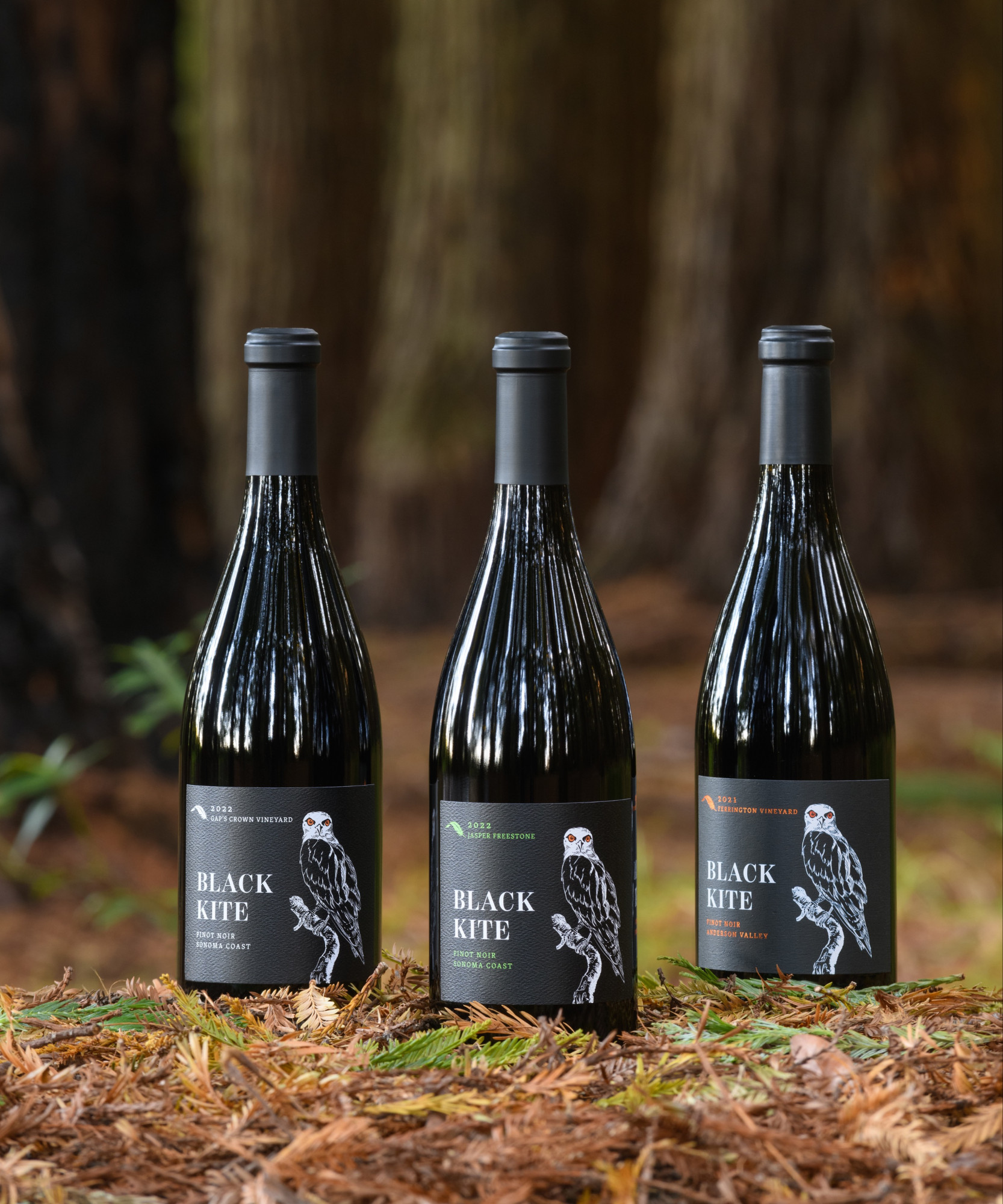 Black Kite Cellars Pinot Noir