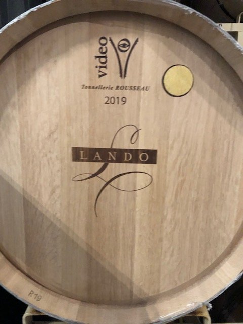 LANDO barrels in the cellar