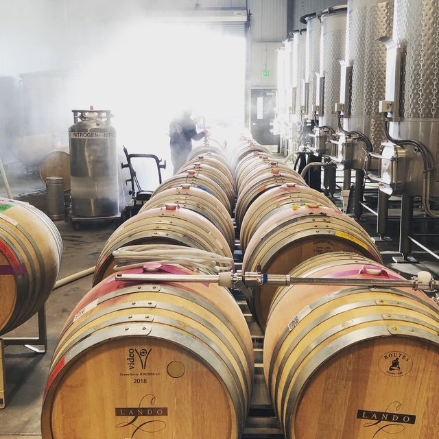 LANDO Pinot Noir and Chardonnay