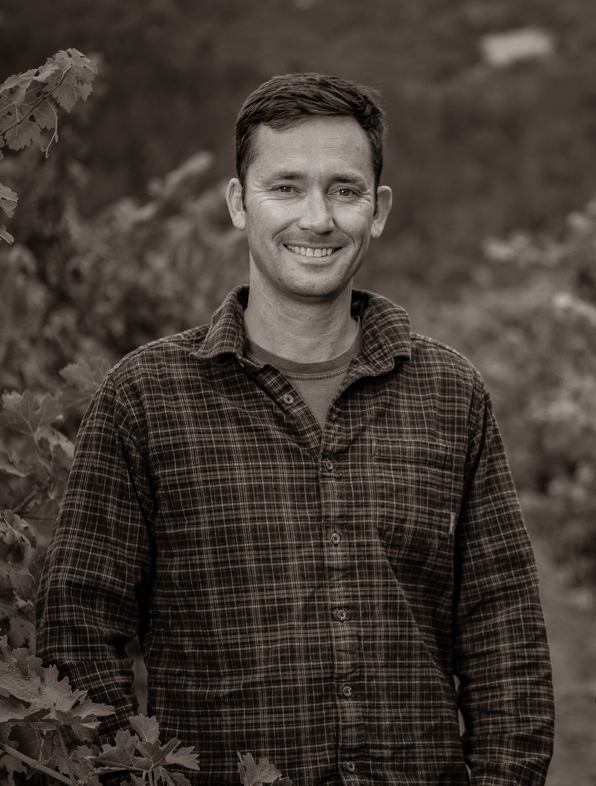 Chris Morisoli