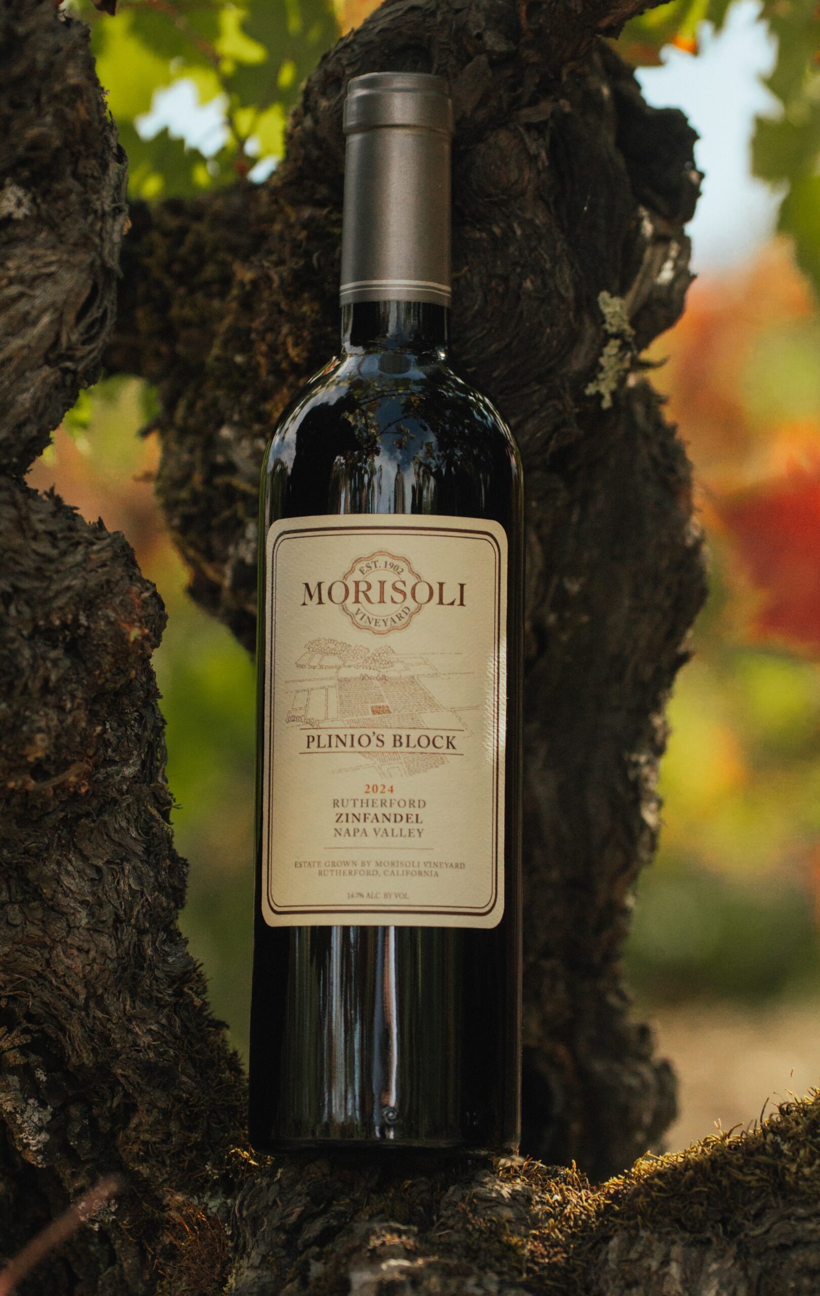 Morisoli Plinio’s Block Rutherford Zinfandel